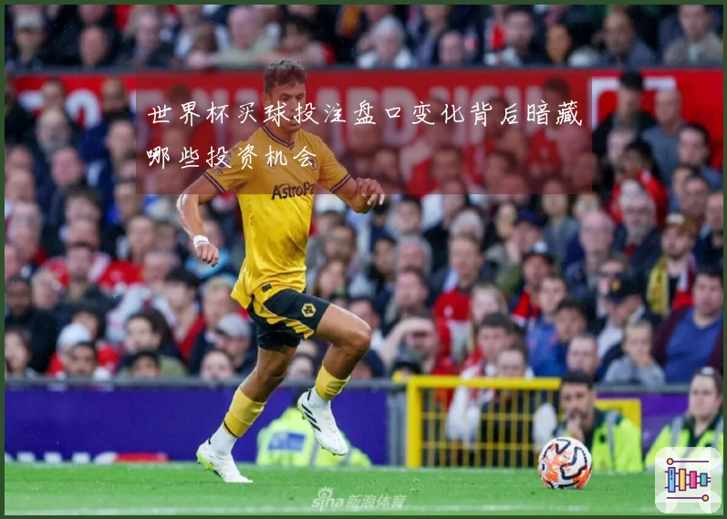 世界杯买球投注盘口变化背后暗藏哪些投资机会