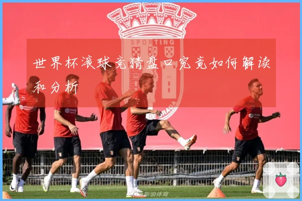世界杯滚球竞猜盘口究竟如何解读和分析