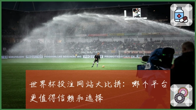 世界杯投注网站大比拼：哪个平台更值得信赖和选择