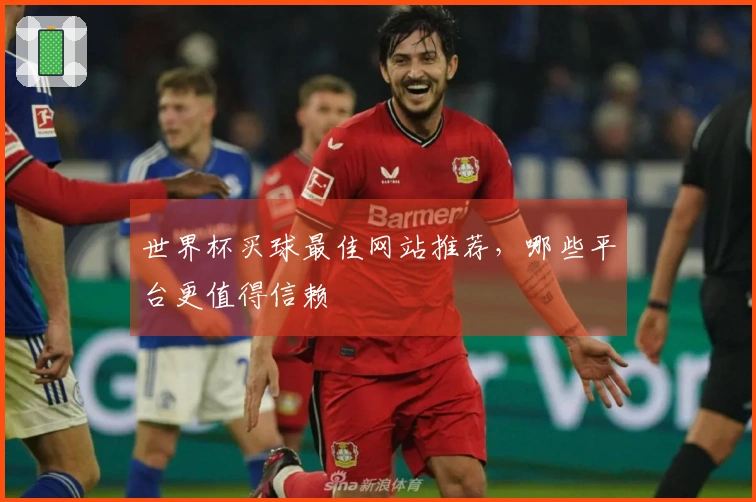 世界杯买球最佳网站推荐，哪些平台更值得信赖