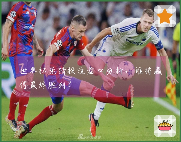 世界杯竞猜投注盘口分析，谁将赢得最终胜利？