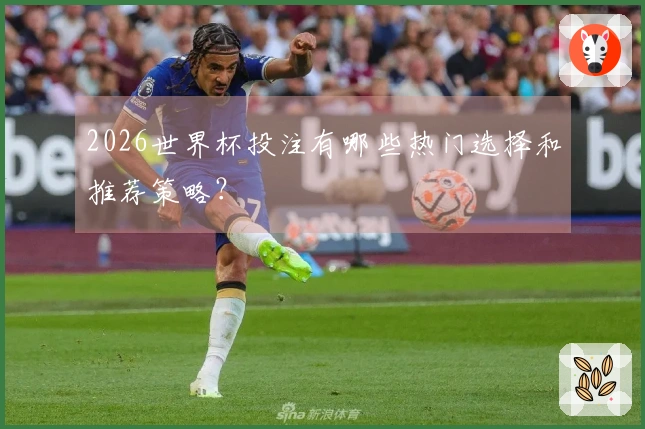 2026世界杯投注有哪些热门选择和推荐策略？