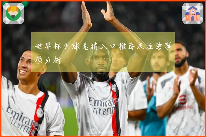 世界杯买球竞猜入口推荐及注意事项分析