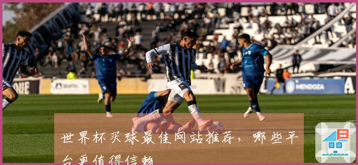 世界杯买球最佳网站推荐，哪些平台更值得信赖