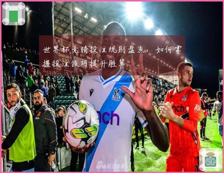 世界杯竞猜投注规则盘点，如何掌握投注技巧提升胜算