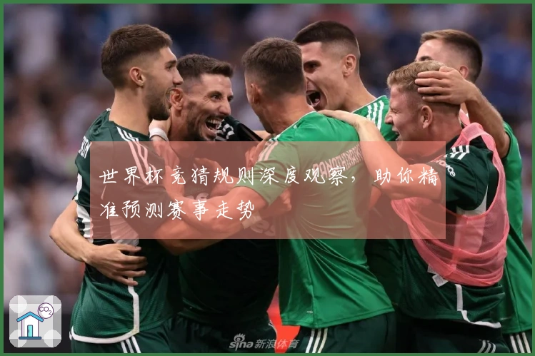 世界杯竞猜规则深度观察，助你精准预测赛事走势