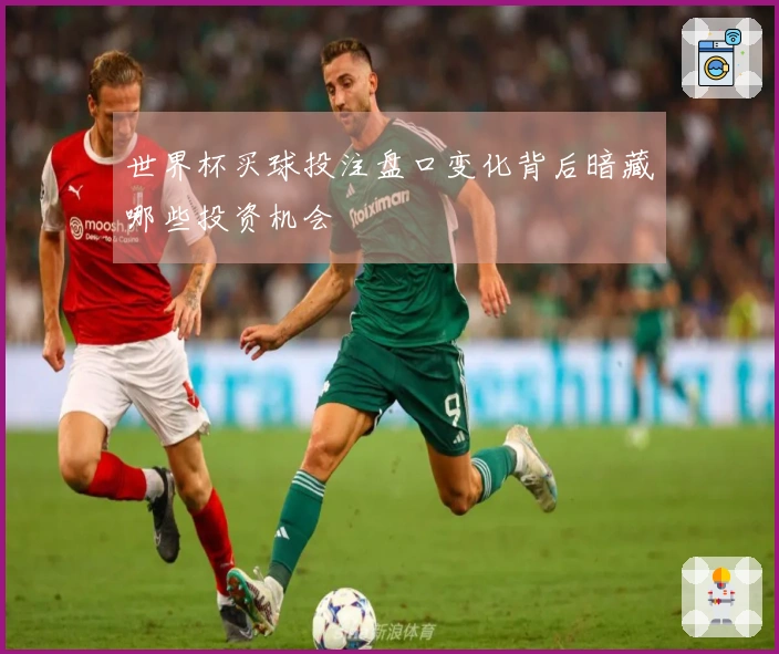 世界杯买球投注盘口变化背后暗藏哪些投资机会