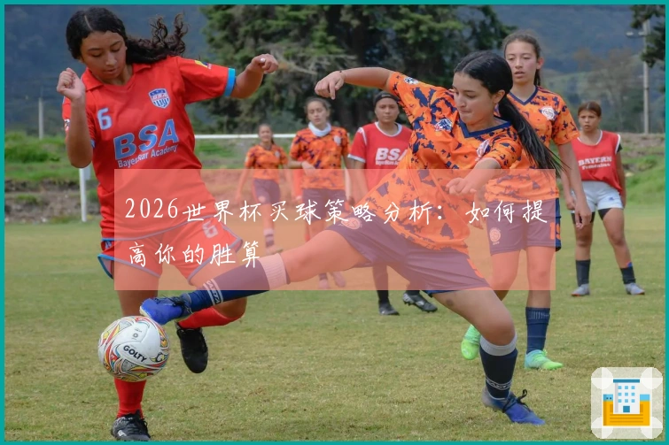 2026世界杯买球策略分析：如何提高你的胜算
